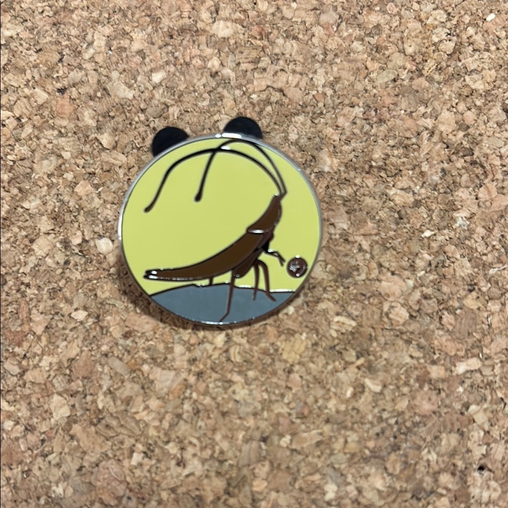 Disney World 2024 Hidden Mickey CHASER